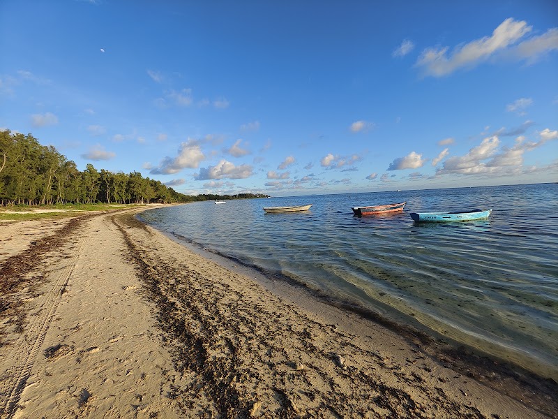 Belle Mare Tours - Belle Mare Tours Quatre Cocos, Mauritius