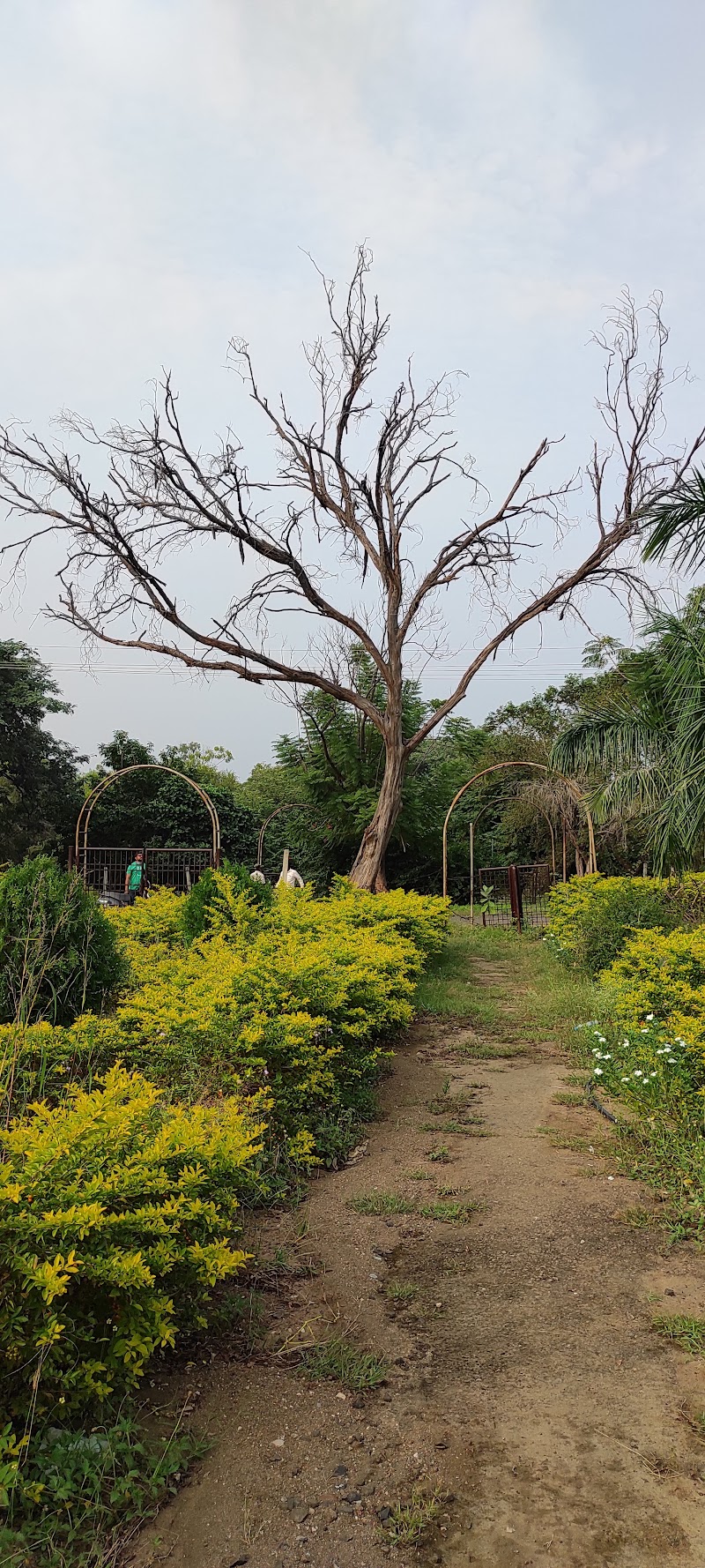 Gulbarga University - Gulbarga University, Sedam Road, Jnana Ganga, Kalaburagi, Karnataka 585106, India