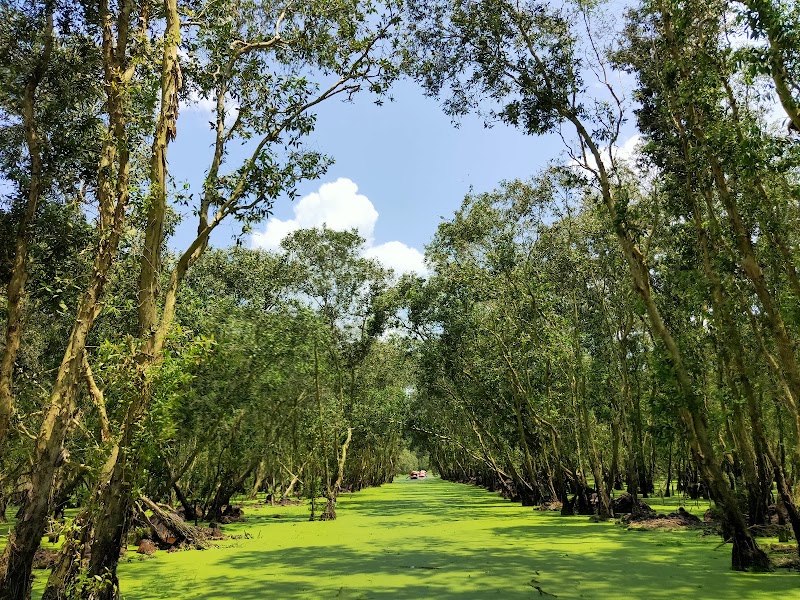 Tra Su Cajuput Forest - Tra Su Cajuput Forest, Ấp Văn Trà, An Cư, An Giang 884000, Vietnam