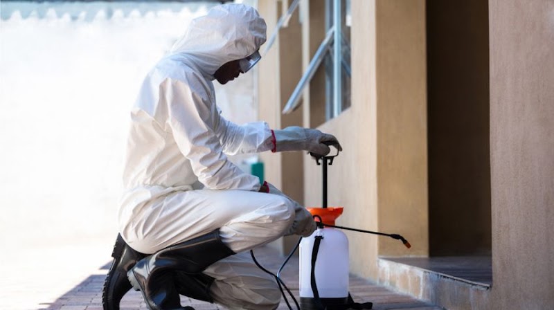 The Eradicators JP Nagar - Best Pest Control Services in Bangalore - The Eradicators JP Nagar - Best Pest Control Services in Bangalore, A-5,G.R TEJAS APARTMENT, 14th Main Rd, Kothnur, RBI Layout, JP Nagar 7th Phase, J. P. Nagar, Bengaluru, Karnataka 560078, India
