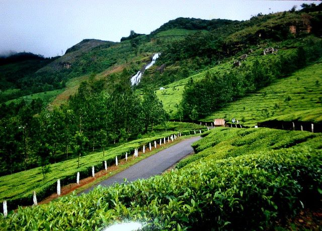 Munnar jeep safari explore (cabs) - Munnar jeep safari explore (cabs) police station, Near, dhanushkodi road, Nullatanni, Munnar, Kerala 685612, India