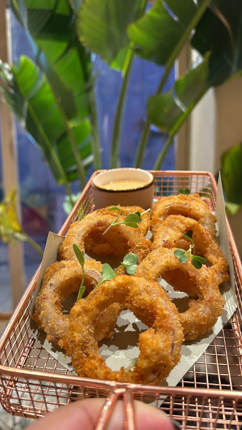 Cafe Hola Beans - Cafe Hola Beans Golf Course Rd, Parsvnath Exotica, DLF Phase 5, Sector 53, Gurugram, Haryana 122011, India