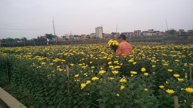 Tây Tựu Flower Market - Tây Tựu Flower Market, 3P8H+XQ5, Tây Tựu, Hà Nội, Vietnam
