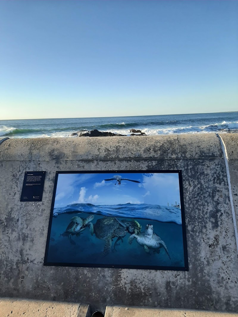 Sea Point Promenade - Sea Point Promenade, Sea Point, Cape Town, 8005, South Africa