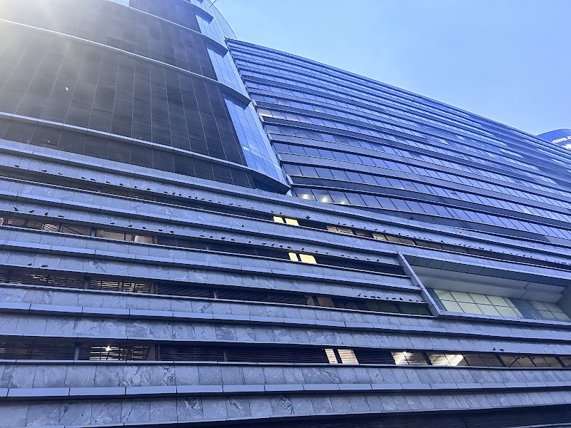 DLF Epitome Building, Gurugram - DLF Epitome Building, Gurugram DLF Limited, Gateway Tower, DLF, R Block, DLF Phase 3, Sector 24, Gurugram, Haryana 122002, India
