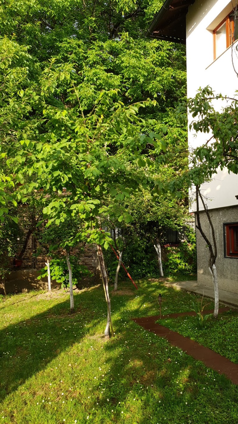 Apartments Old Town - Apartments Old Town, Bistrik-Medresa 20, Sarajevo 71000, Bosnia and Herzegovina