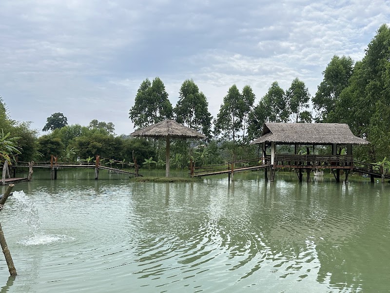 Phuket Elephant care Sanctuary - Phuket Elephant care Sanctuary 3 หาดในทอน 5, Tambon Sa Khu, Amphoe Thalang, Chang Wat Phuket 83110, Thailand