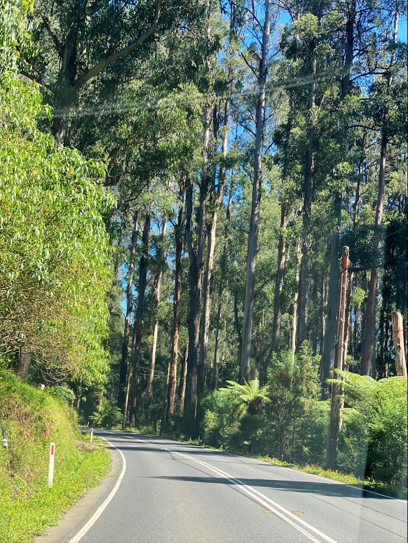 Tourism East - Tourism East, 1 Jarlo Dr, Lilydale VIC 3140, Australia