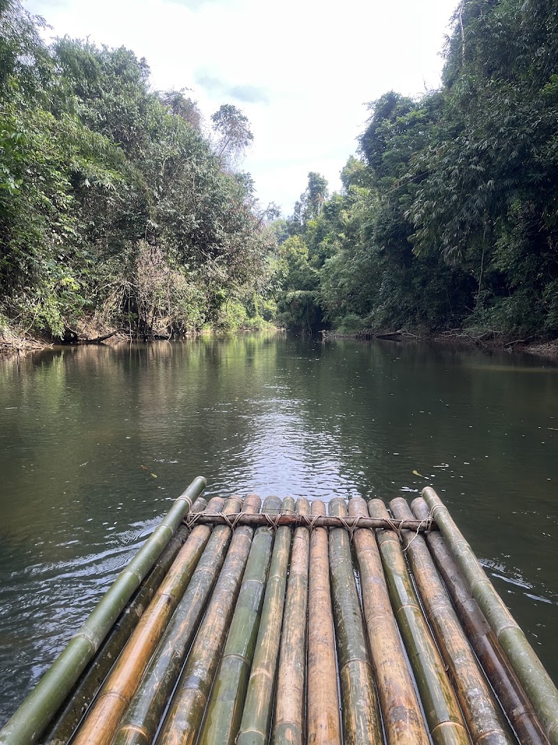 SOK River - SOK River, 63, Tambon Khlong Sok, Amphoe Phanom, Chang Wat Surat Thani 84250, Thailand
