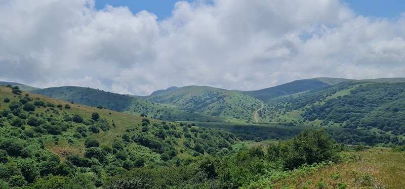 فندقلو نمین - فندقلو نمین, جنگل فندقلو, 9HM3+2FX, Ardabil Province, Iran