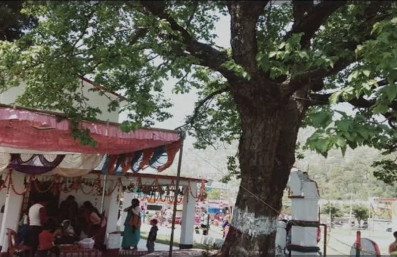 Bhul Na Jana Pahadi Khana - Bhul Na Jana Pahadi Khana QGQH+W6M, near golu devta temple, Lod Batuliya, Someshwar Range, Uttarakhand 263637, India