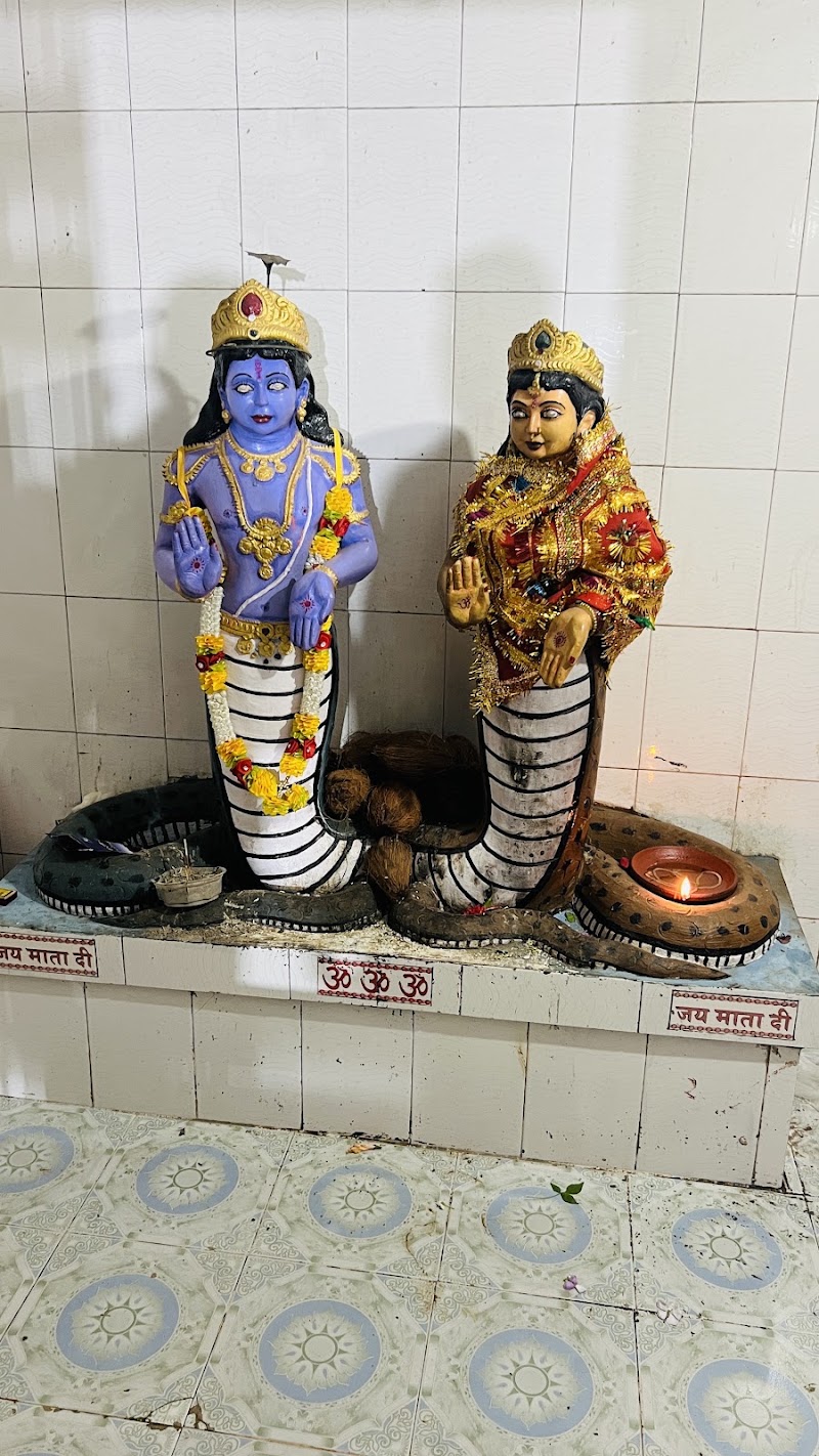 Nag Nagin Mandir (नाग देव) - Nag Nagin Mandir (नाग देव), 7VJ2+XX7, Bhandarpur, Chhattisgarh 491445, India