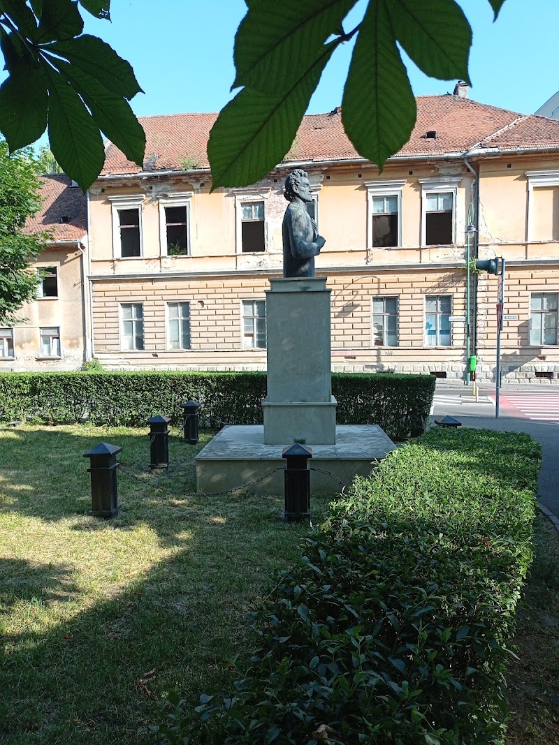 Bust of Ciprian Porumbescu - Bust of Ciprian Porumbescu, Granite-Schei, Brașov, Romania