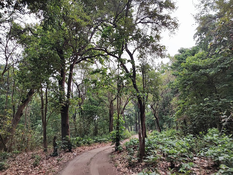 Rajaji National Park Safari Booking Office - Rajaji National Park Safari Booking Office, Near Cheela Dam, Haridwar- Rishikesh, Cheela Dam - Rishikesh Rd, Cheela Colony, Uttarakhand 249306, India