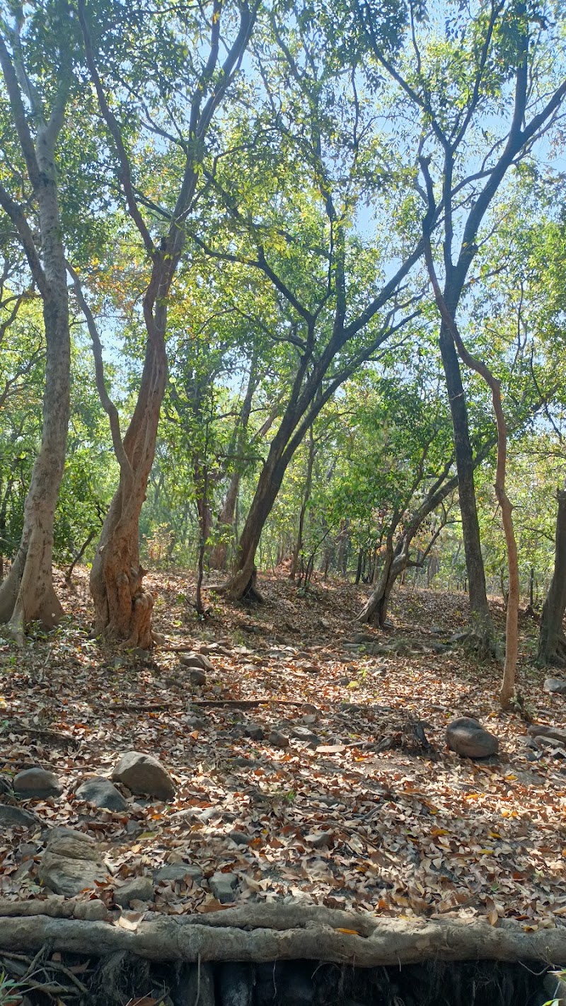 Ranipur wildlife sanctuary - Ranipur wildlife sanctuary, Ranipur, kalyan garh, Manikpur, Rani Pur Kalyan Gar, Uttar Pradesh 210208, India