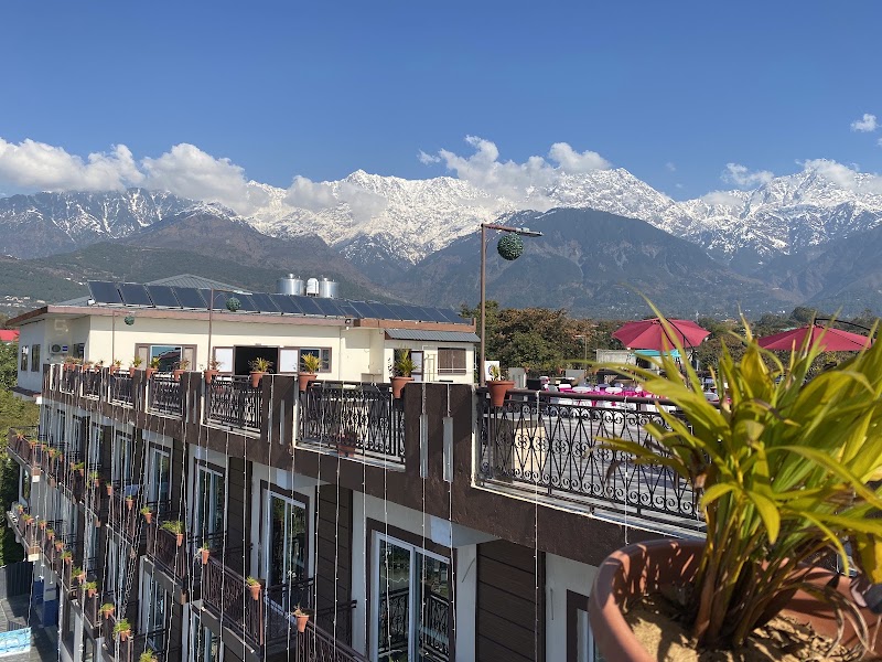 D'Polo Club & Spa Resort, Dharamshala