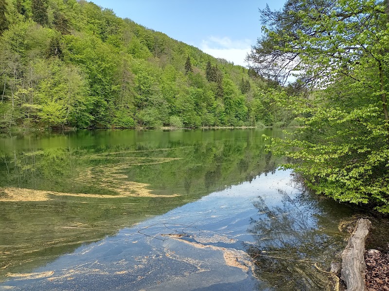 Egelsee - Egelsee Egelsee, 8962 Bergdietikon, Switzerland