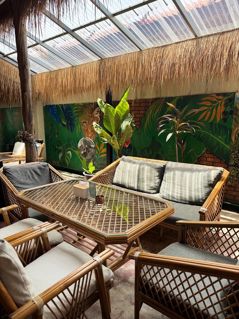 Noah’s Ark Cannabis Bar Restaurant HOSTEL