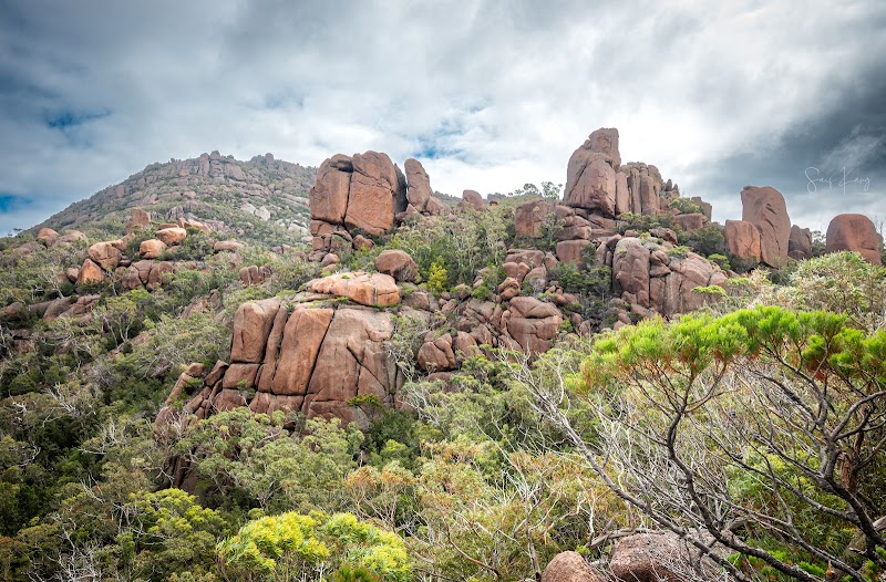Coles Bay Lookout - Coles Bay Lookout, Freycinet TAS 7215, Australia