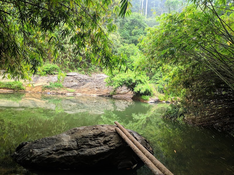 Kanthanpara Waterfalls - Kanthanpara Waterfalls G5F3+H3G, Meppadi, Kerala 673577, India