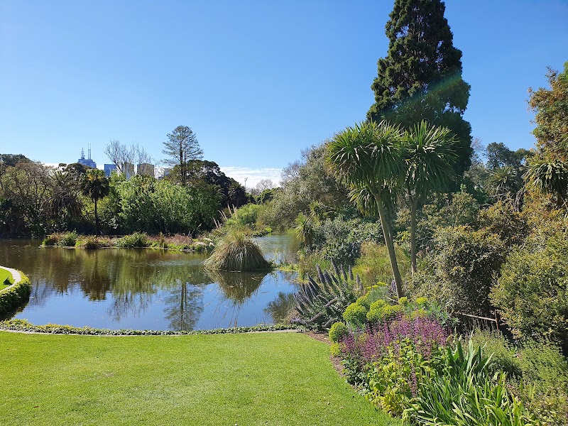 Royal Botanic Gardens Victoria - Melbourne Gardens - Royal Botanic Gardens Victoria - Melbourne Gardens, Melbourne VIC 3004, Australia