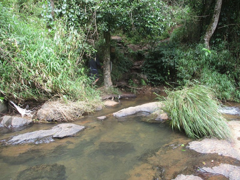 Chelavara Water falls trekking start point (ಚೆಲಾವರ ಜಲಪಾತ ವೀಕ್ಷಣಾ ಸ್ಥಳ) - Chelavara Water falls trekking start point (ಚೆಲಾವರ ಜಲಪಾತ ವೀಕ್ಷಣಾ ಸ್ಥಳ) 6M4F+V9C water Falls, Chelavara, Karnataka 571212, India
