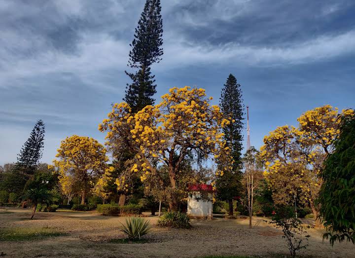 Cheluvamba Park - Cheluvamba Park, 8JCP+JJG, KRS Rd, Medar Block, Yadavagiri, Mysuru, Karnataka 570020, India
