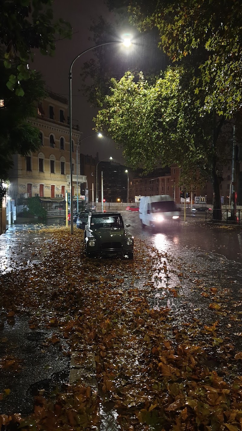 Staz.Ne Trastevere - Staz.Ne Trastevere, 00152 Rome, Metropolitan City of Rome Capital, Italy