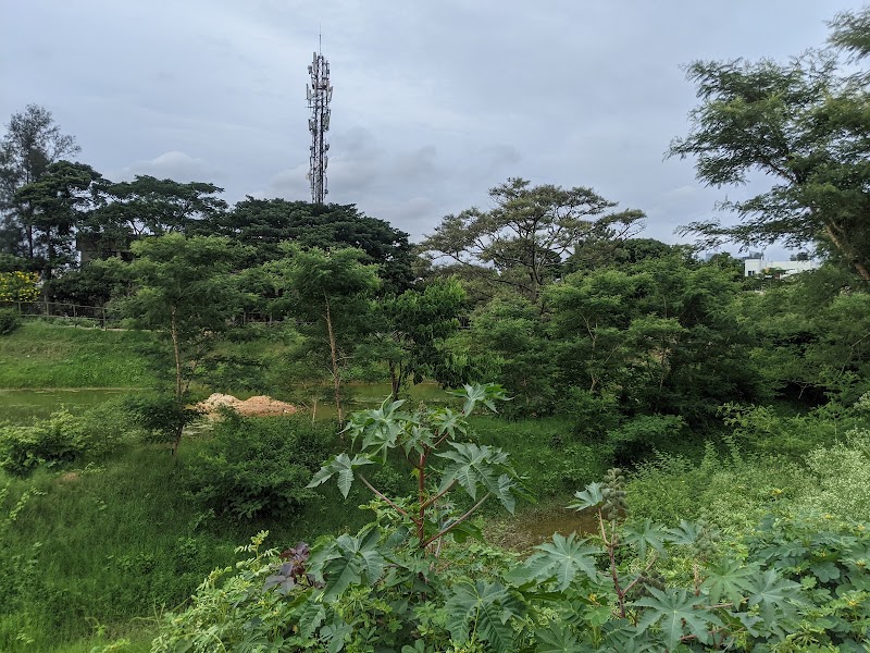 Mesthripalya Lake - Mesthripalya Lake E type Quarters, 1st A cross Rd, 4th Block, Koramangala, Bengaluru, Karnataka 560034, India