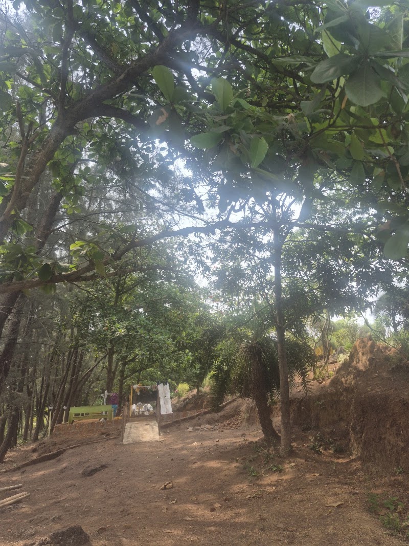 Mandrem garden - Mandrem garden 123, Querim–Arambol–Agarwada Rd, Junos Vaddo, Mandrem, Goa 403527, India