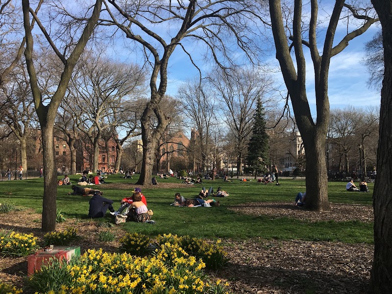 Tompkins Square Park - Tompkins Square Park E 10th St, New York, NY 10009, USA