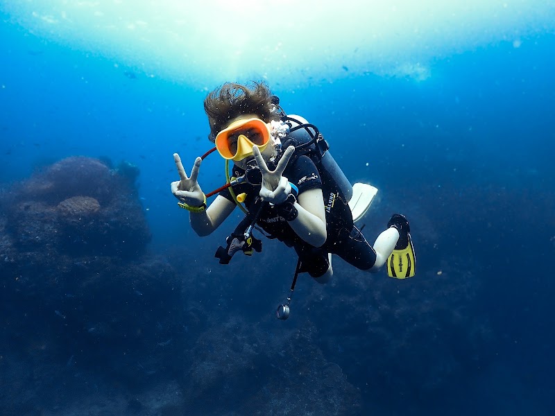 The Dive Academy