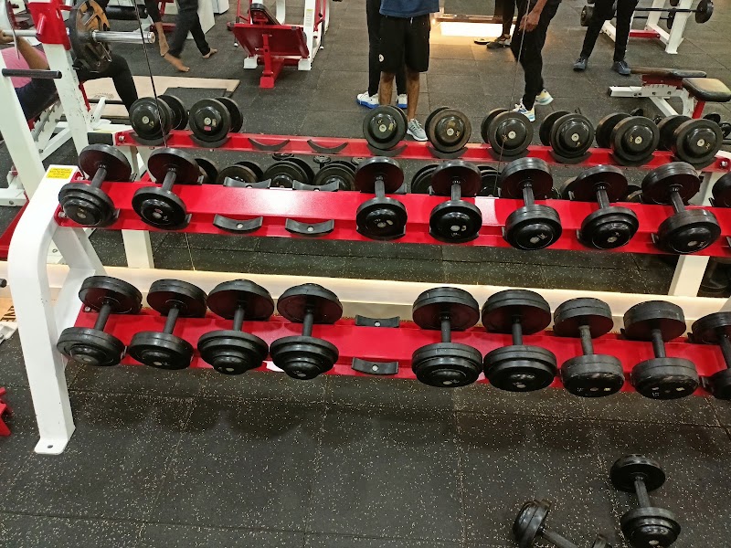 Universal Gym | Best Gym In Camp Pune - Universal Gym | Best Gym In Camp Pune, Universal Gym & Fitness Club, opp. Chandan Medicals, Jai Society, New Modikhana, Bhawani Peth, Pune, Maharashtra 411002, India