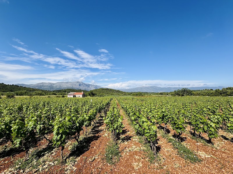 Korcula Explorer (Wine & Food Tasting Tours) - Korcula Explorer (Wine & Food Tasting Tours), Please note we don't have a physical office, 20260, Stari Grad, Korčula, Croatia