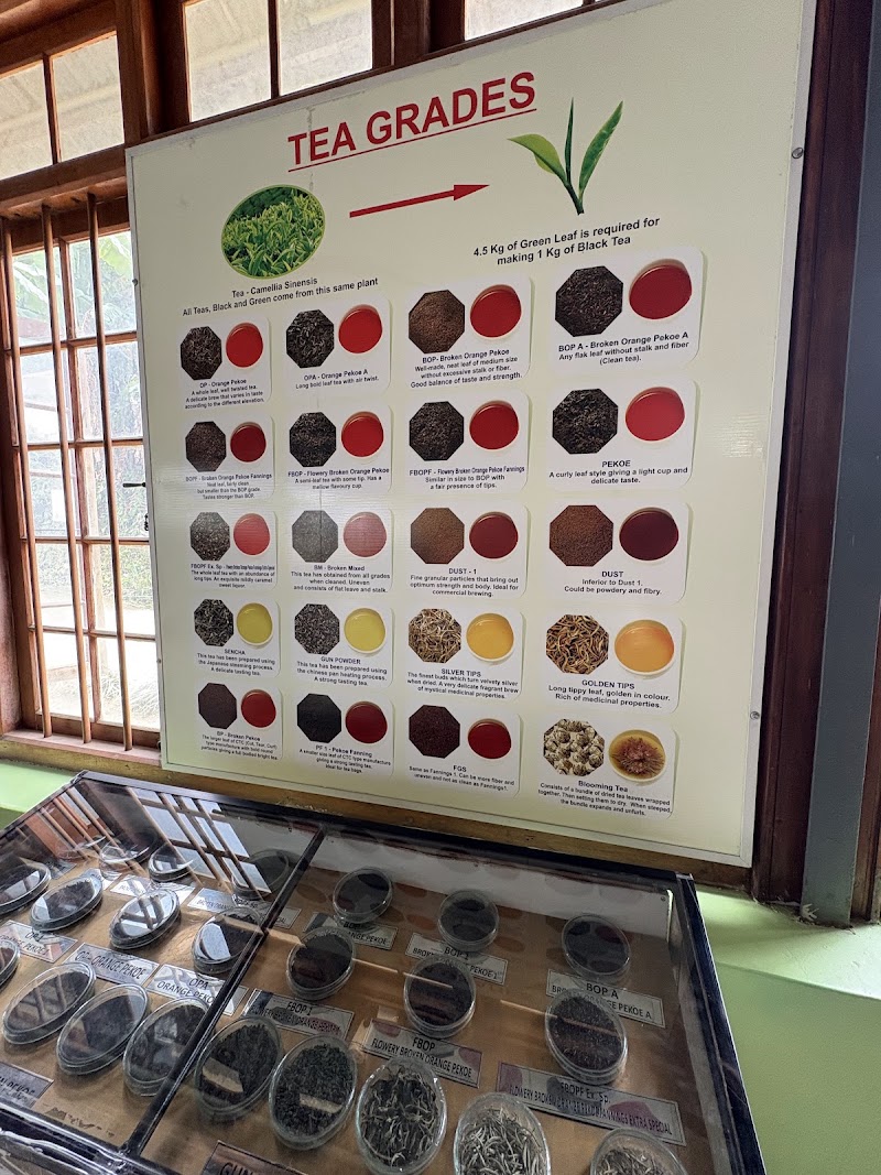 Ceylon Tea Museum - Ceylon Tea Museum, 7J9M+C5P, Hantana Rd, Kandy 20000, Sri Lanka