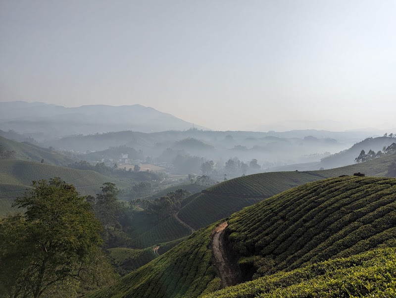 Green Munnar Trekking - Green Munnar Trekking MSA Rd, Moolakadai, Munnar, Kerala 685612, India