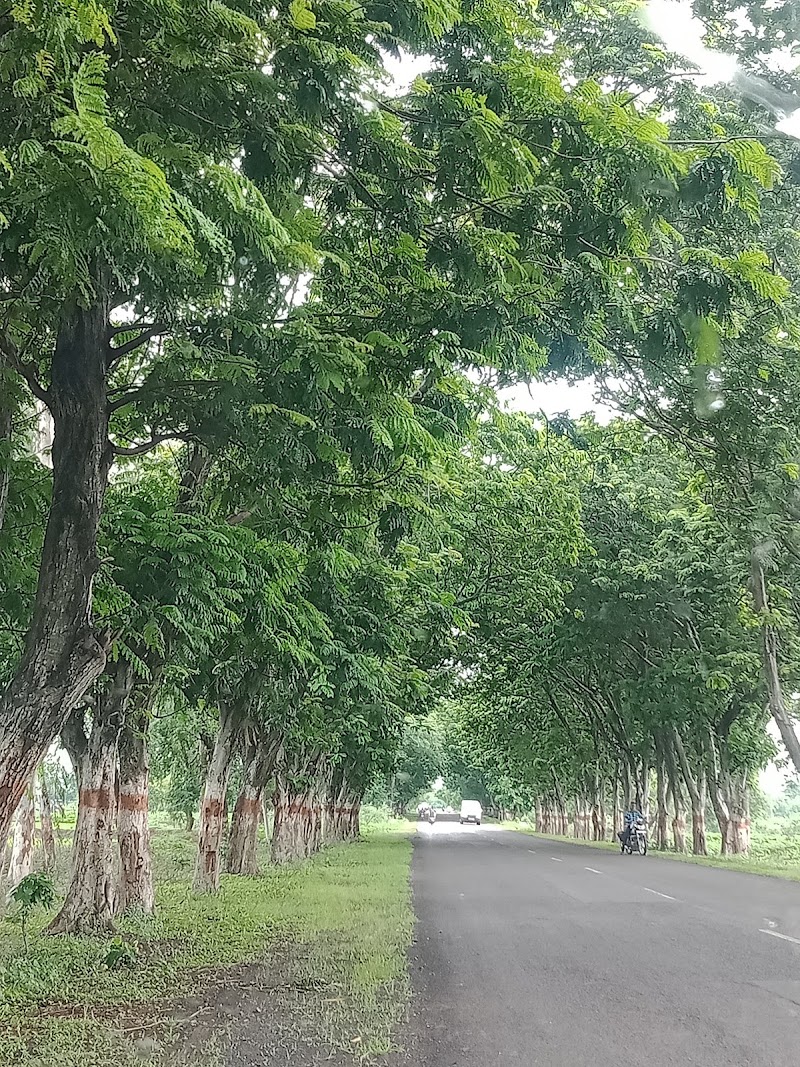 Virangna Avanti Bai Lodhi Chawk Gopalpur. - Virangna Avanti Bai Lodhi Chawk Gopalpur., G2CG+9W5, Gopalpur, Chhattisgarh 491885, India