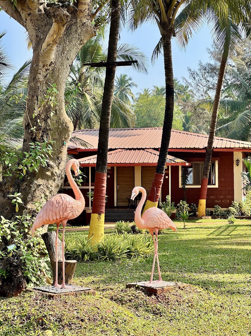 Silver Sand Beach Resort - Silver Sand Beach Resort, Karve Pakhadi, Post Murud, Murud Rd, Dapoli, Maharashtra 415712, India