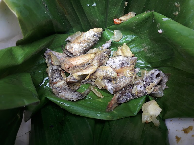 Tabakoshi Riverside Dwelling Homestay offbeat Darjeeling - Tabakoshi Riverside Dwelling Homestay offbeat Darjeeling Riverside Dwelling, Tabakoshi, Gopaldhara, Mirik, Gopal Dhara Tea Garden, West Bengal 734214, India