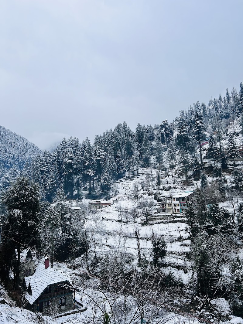 Rudrani Stays & Cafe, Jibhi - Rudrani Stays & Cafe, Jibhi Rudrani Stays, Old, Market, Jibhi, Rashala, Himachal Pradesh 175123, India