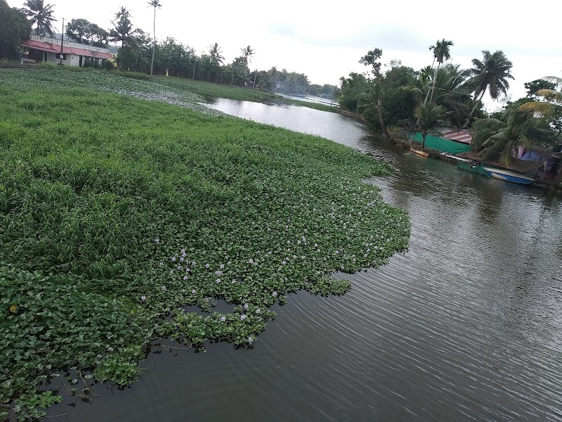 Pallathuruthy Back Waters - Pallathuruthy Back Waters F9G7+W6P, Pallathuruthy, Pazhaveedu, Kainakary, Alappuzha, Keralam 688009, India