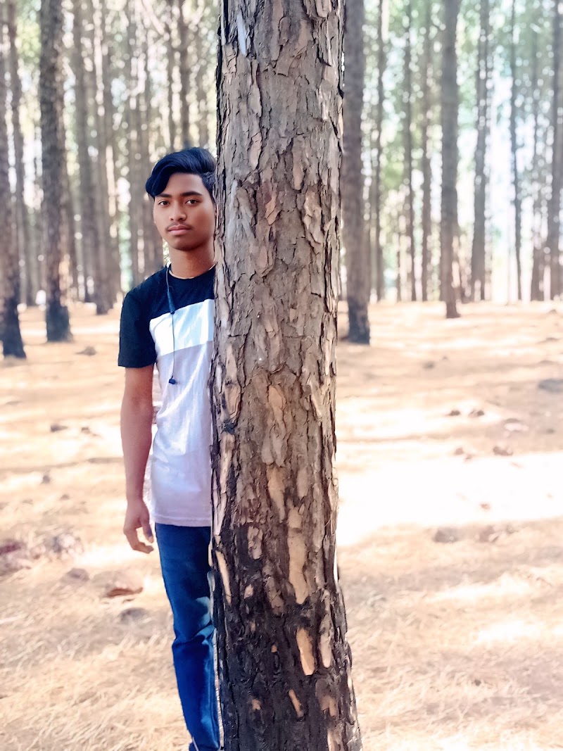 Sarna Toli Netarhat - Sarna Toli Netarhat F7PF+R3R, Netarhat, Jharkhand 835218, India