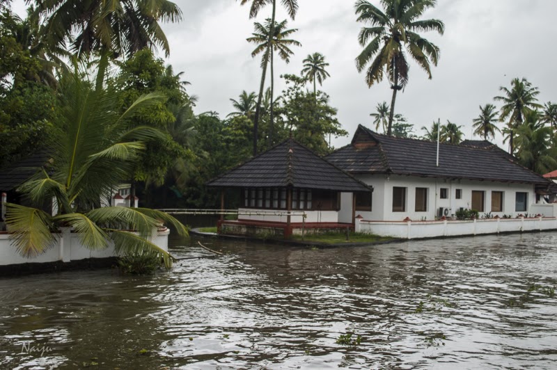 Vembanad Lake - Vembanad Lake, Kerala