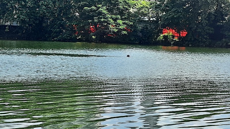 NilPukur Ghat - NilPukur Ghat B-118, Survey Park, Santoshpur, Kolkata, West Bengal 700075, India