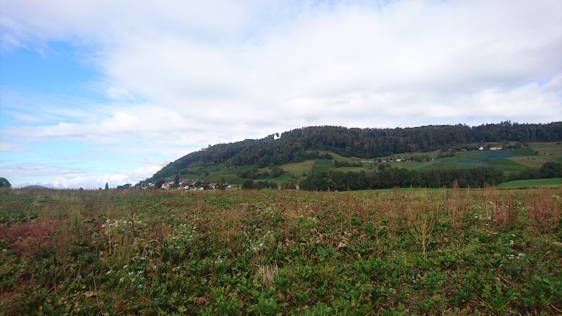 Campingplatz Grenzstein - Campingplatz Grenzstein Oehningerstrasse 75, 8260 Stein am Rhein, Switzerland