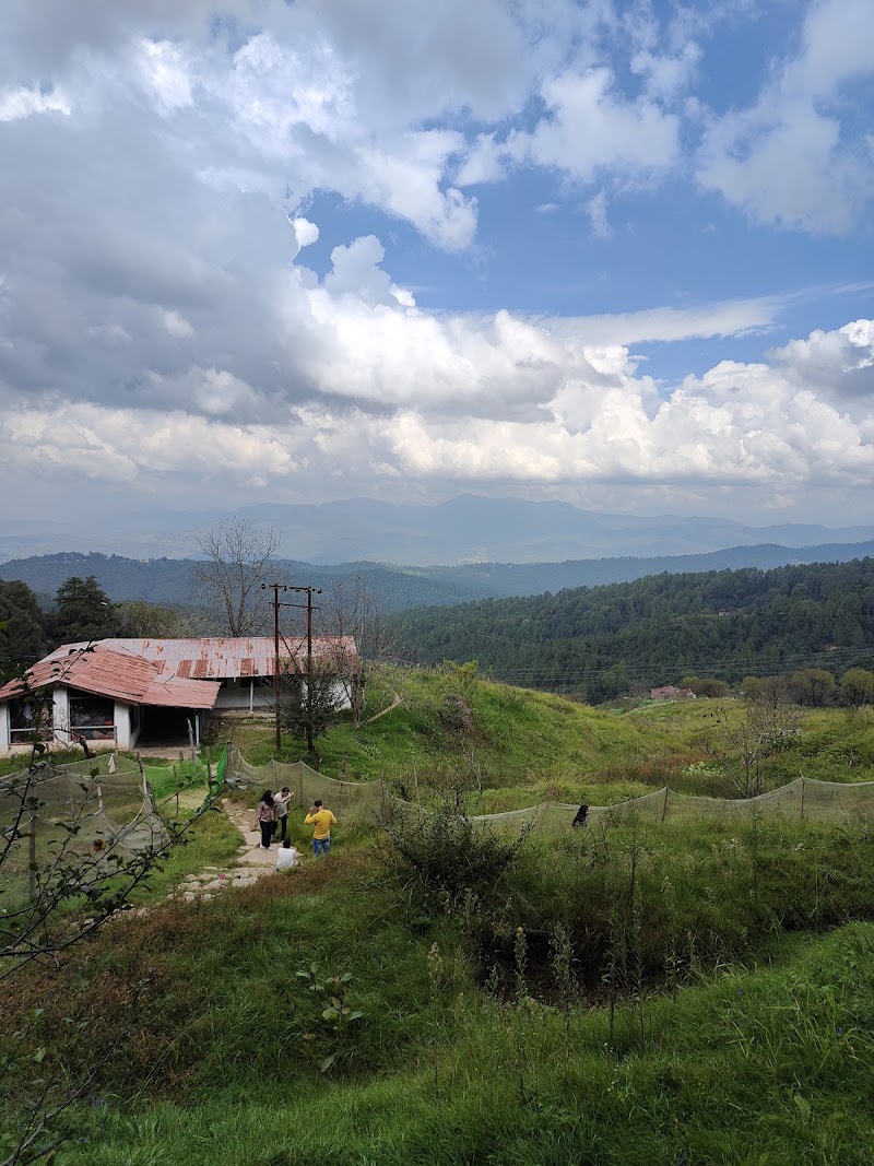 The Himalayan Trail - The Himalayan Trail Khanyara Rd, near Shanti Guest House, Sudher, Dharamshala, Himachal Pradesh 176215, India