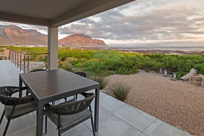Penguin Walk - Penguin Walk, 4272 Crassula Cres, Betty's Bay, 7141, South Africa