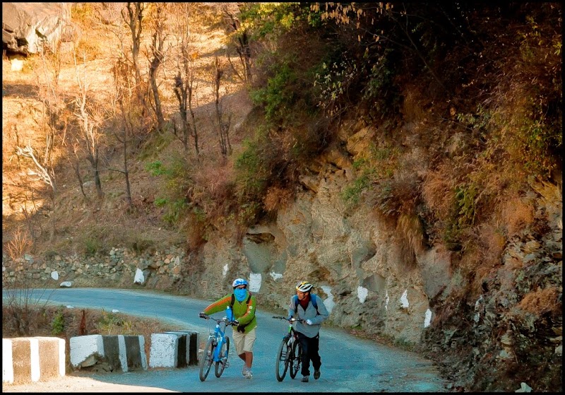 Tirthan Trails - Tirthan Trails 1km milestone, across Goshaini, Gushaini, Pekhri, Himachal Pradesh 175123, India