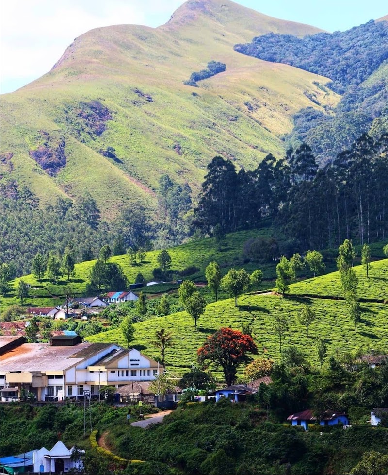 Mattupetty - Mattupetty, Munnar, Kerala 685612, India