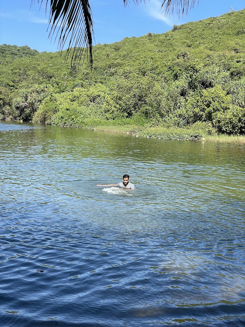 Sweet Water Sanctuary - Sweet Water Sanctuary, PM2X+3W, Arambol, Goa 403524, India